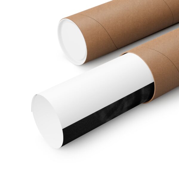 Copy of Copy of Matte Vertical Posters - Image 11